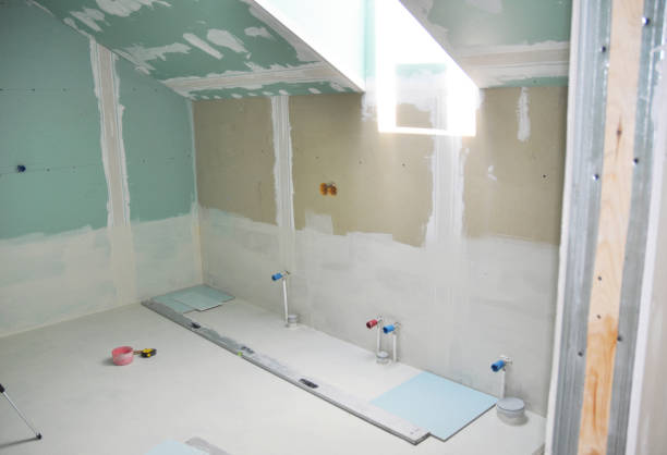 Environmental Consulting for Mold Prevention in Highlands Ranch, CO